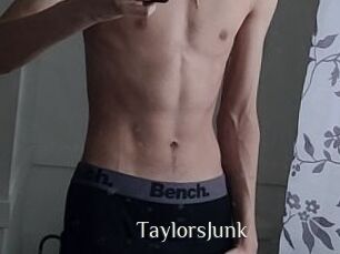 TaylorsJunk