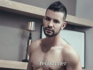 TeoBanner