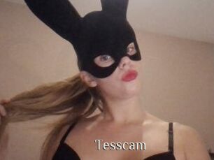 Tesscam