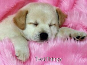 TestThingy