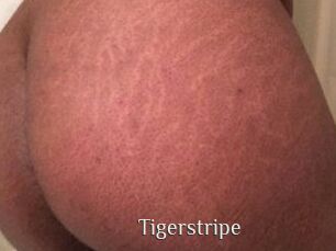 Tigerstripe