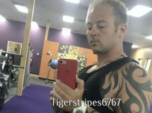 Tigerstripes6767