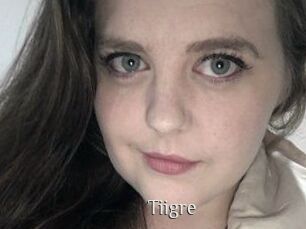 Tiigre_
