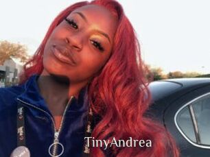 TinyAndrea
