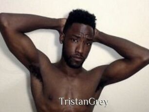 Tristan_Grey Shop coquin