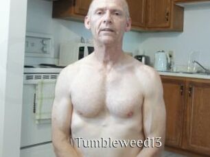 Tumbleweed13 Shop coquin