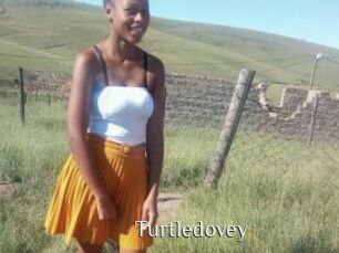 Turtledovey