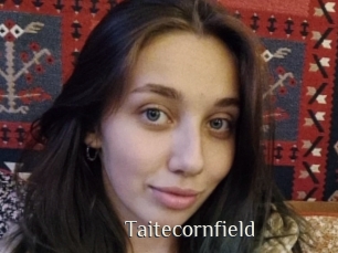 Taitecornfield