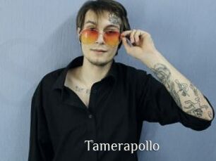 Tamerapollo