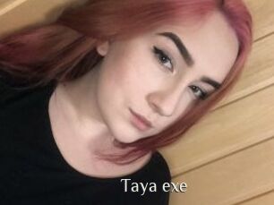 Taya_exe