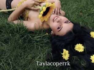 taylacoperrk Shop coquin