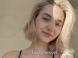 taytehessel Shop coquin