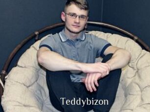 Teddybizon