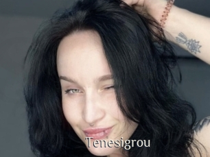 Tenesigrou