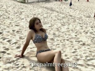 Thepalmtreegirl18