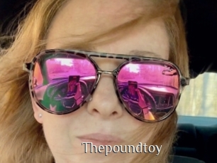 Thepoundtoy