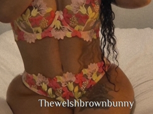 Thewelshbrownbunny