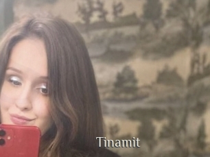 Tinamit