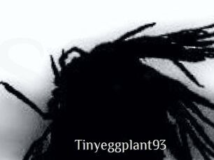 Tinyeggplant93