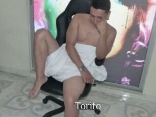 Torito
