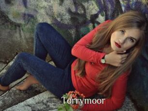 Torrymoor