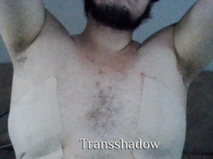 Transshadow