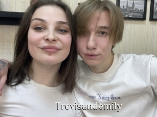 Trevisandemily