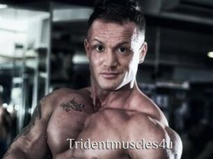 Tridentmuscles4u