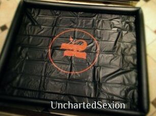 UnchartedSexion