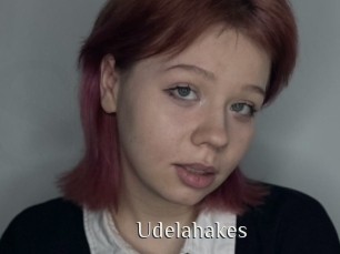 Udelahakes