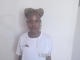 Uggal