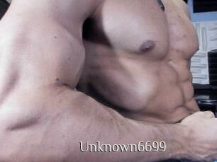 Unknown6699