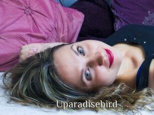 uparadisebird Shop coquin