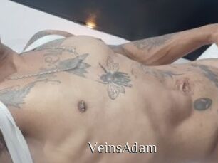 VeinsAdam