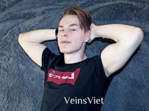 VeinsViet