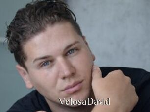 VelosaDavid