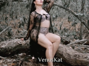 VenusKat