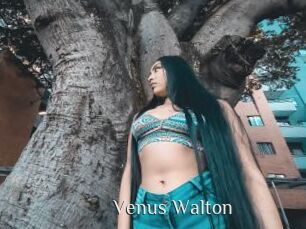 Venus_Walton