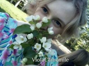 ViolaCamomile