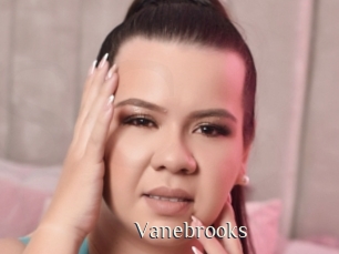 Vanebrooks