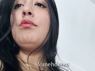 Vaneholmes
