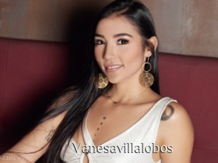 Vanesavillalobos