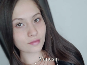 vanesin Shop coquin