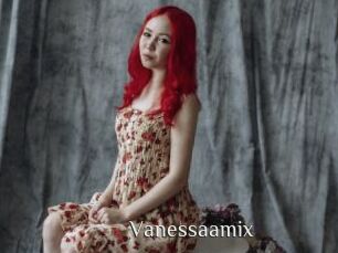 Vanessaamix