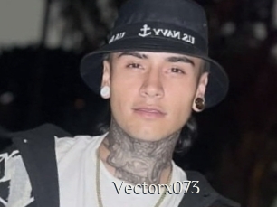 Vectorx073