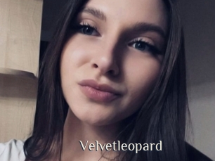 Velvetleopard
