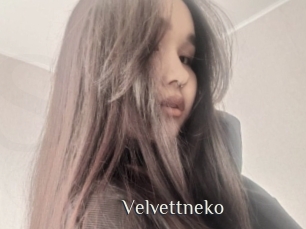 Velvettneko