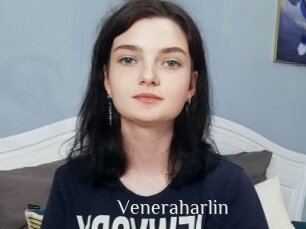 Veneraharlin