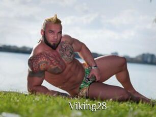 Viking28