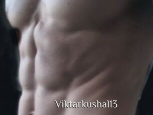 Viktarkushal13